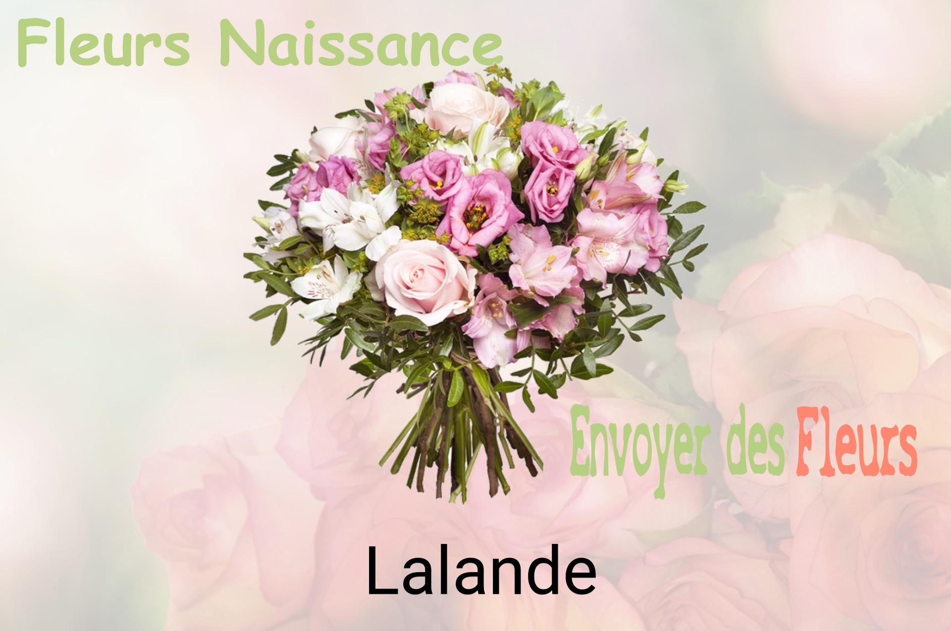 Bouquet de fleurs de naissance livré à Lalande